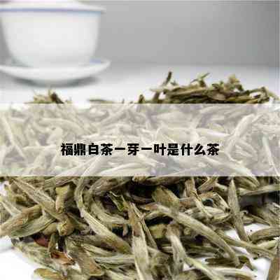 福鼎白茶一芽一叶是什么茶