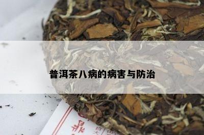 普洱茶八病的病害与防治