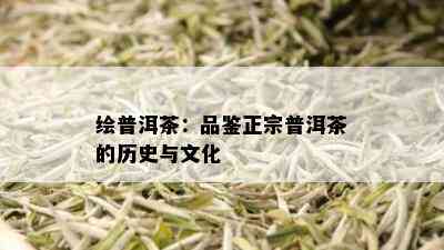 绘普洱茶：品鉴正宗普洱茶的历史与文化