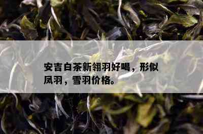 安吉白茶新翎羽好喝，形似凤羽，雪羽价格。