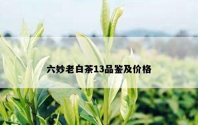 六妙老白茶13品鉴及价格