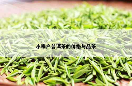 小寒户普洱茶的价格与品茶