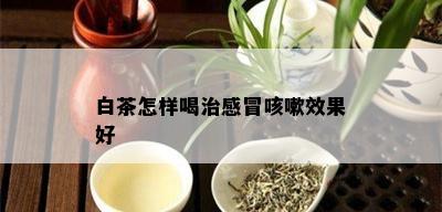 白茶怎样喝治感冒咳嗽效果好