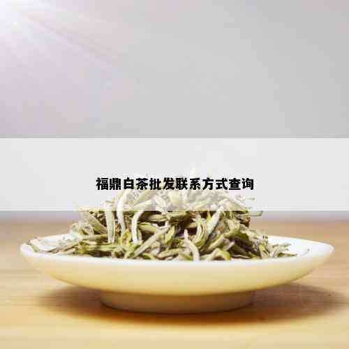 福鼎白茶批发联系方式查询