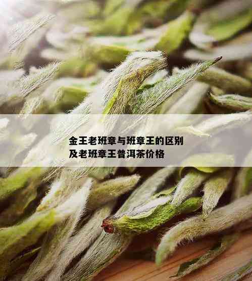 金王老班章与班章王的区别及老班章王普洱茶价格