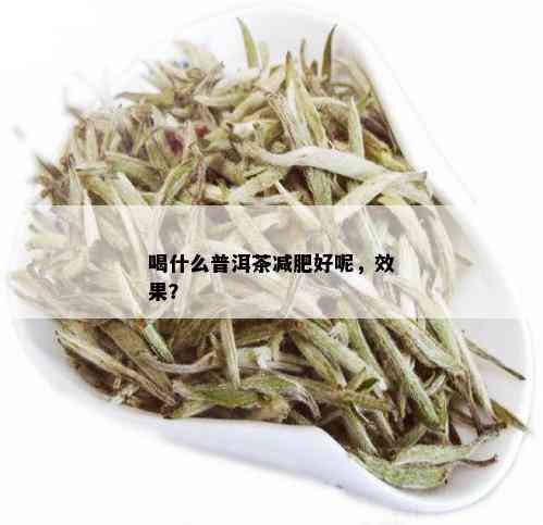 喝什么普洱茶减肥好呢，效果？