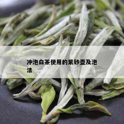 冲泡白茶使用的紫砂壶及泡法