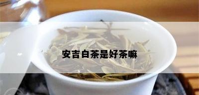 安吉白茶是好茶嘛