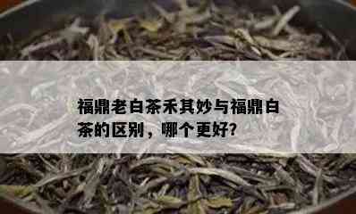 福鼎老白茶禾其妙与福鼎白茶的区别，哪个更好？