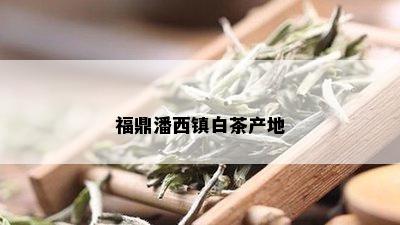 福鼎潘西镇白茶产地