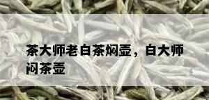 茶大师老白茶焖壶，白大师闷茶壶