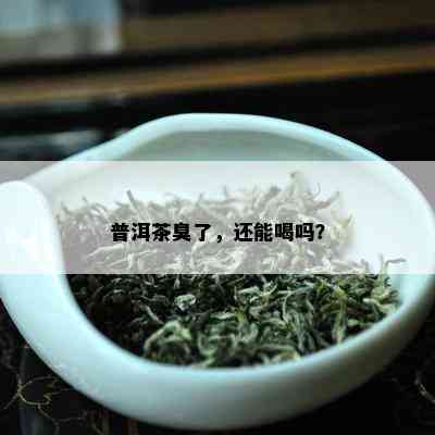 普洱茶臭了，还能喝吗？