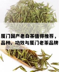 厦门国产老白茶值得推荐，品种、功效与厦门老茶品牌