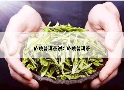 庐境普洱茶饼：庐境普洱茶