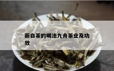 新白茶的喝法九舟茶业及功效