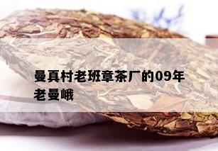 曼真村老班章茶厂的09年老曼峨