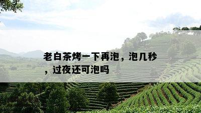 老白茶烤一下再泡，泡几秒，过夜还可泡吗