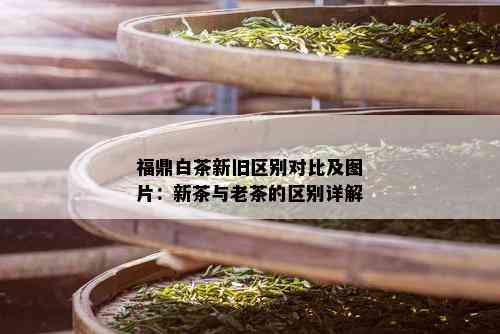 福鼎白茶新旧区别对比及图片：新茶与老茶的区别详解