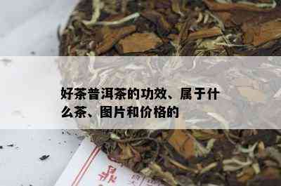 好茶普洱茶的功效、属于什么茶、图片和价格的