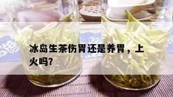 冰岛生茶伤胃还是养胃，上火吗？