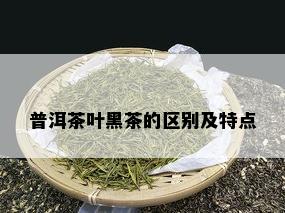 普洱茶叶黑茶的区别及特点