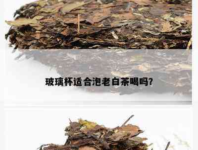 玻璃杯适合泡老白茶喝吗？