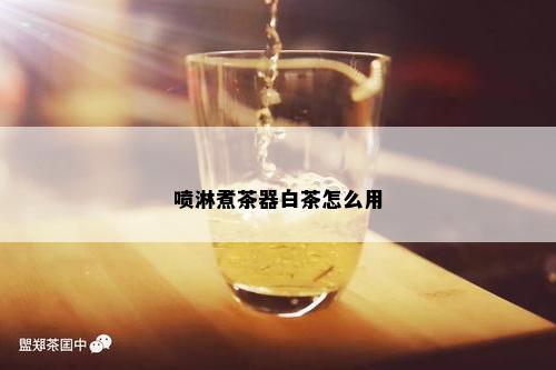 喷淋煮茶器白茶怎么用