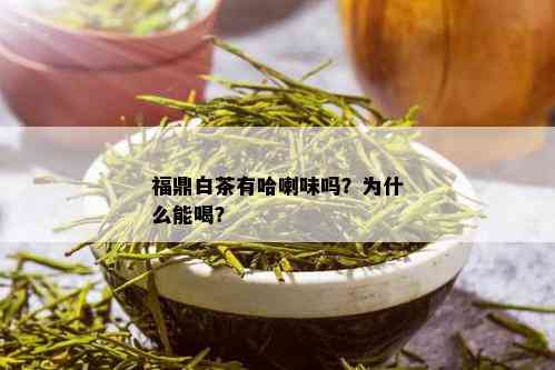 福鼎白茶有哈喇味吗？为什么能喝？