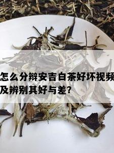 怎么分辩安吉白茶好坏视频及辨别其好与差？