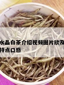 水晶白茶介绍视频图片欣及特点口感