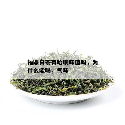 福鼎白茶有哈喇味道吗，为什么能喝，气味