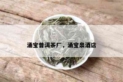 涌宝普洱茶厂，涌宝泉店