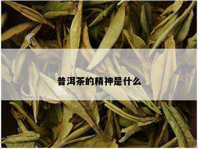 普洱茶的精神是什么