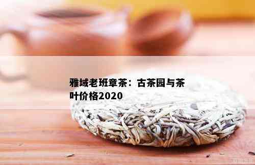 雅域老班章茶：古茶园与茶叶价格2020