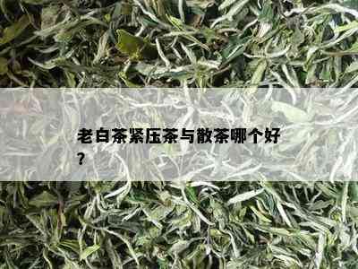 老白茶紧压茶与散茶哪个好？