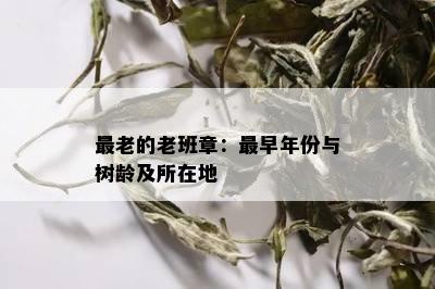 最老的老班章：最早年份与树龄及所在地