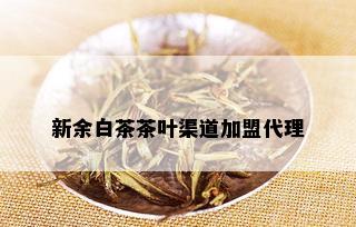 新余白茶茶叶渠道加盟代理