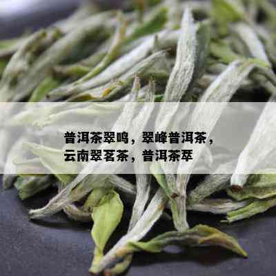 普洱茶翠鸣，翠峰普洱茶，云南翠茗茶，普洱茶萃