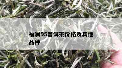 福润95普洱茶价格及其他品种