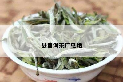 县普洱茶厂电话