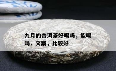 九月的普洱茶好喝吗，能喝吗，文案，比较好