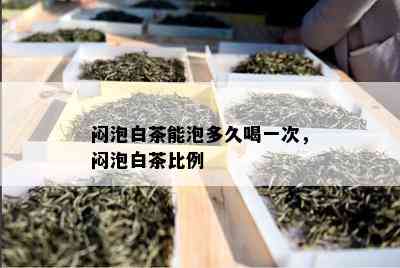 闷泡白茶能泡多久喝一次，闷泡白茶比例