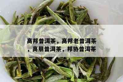 高邦普洱茶，高邦老普洱茶，高朋普洱茶，邦协普洱茶