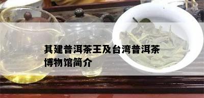 其建普洱茶王及台湾普洱茶博物馆简介