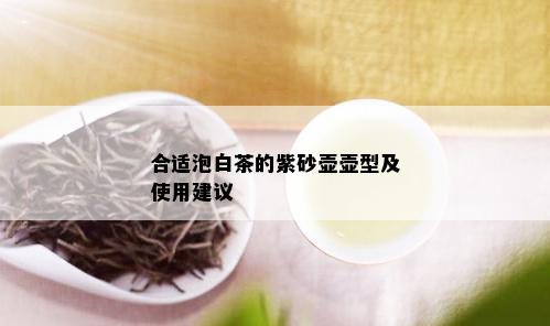 合适泡白茶的紫砂壶壶型及使用建议