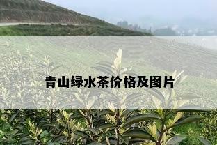 青山绿水茶价格及图片