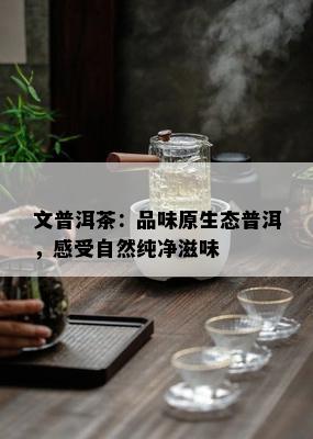 文普洱茶：品味原生态普洱，感受自然纯净滋味