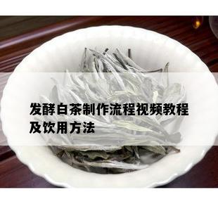 发酵白茶制作流程视频教程及饮用方法