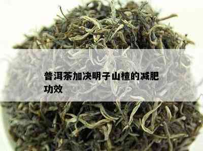 普洱茶加决明子山楂的减肥功效