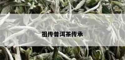 祖传普洱茶传承